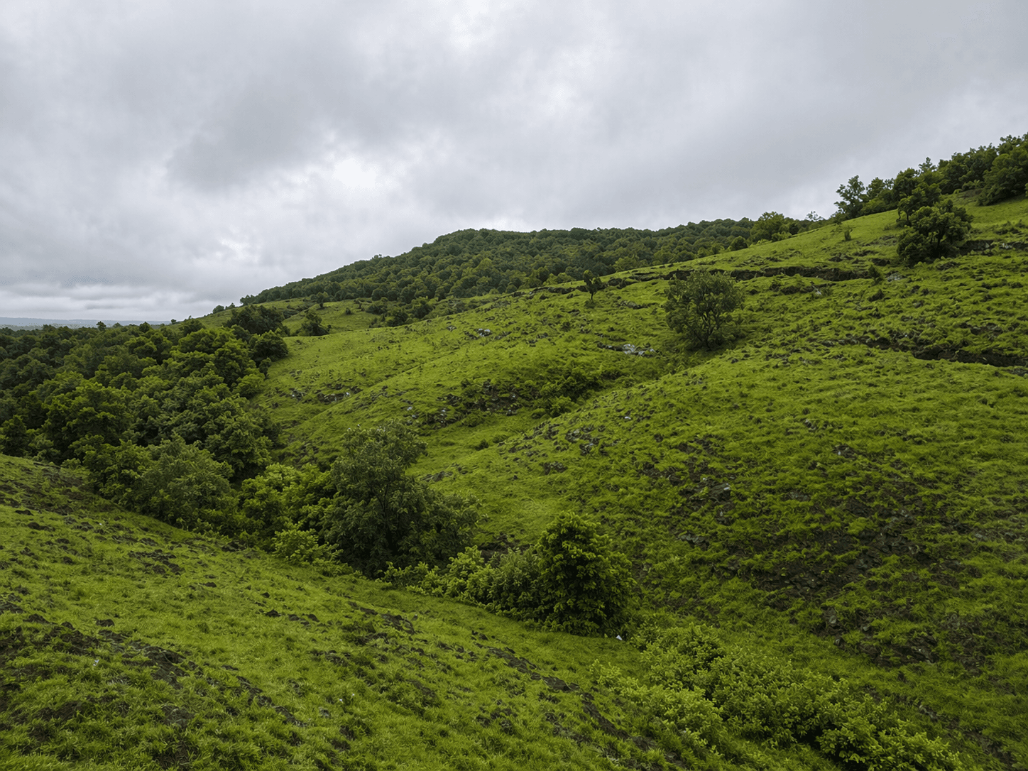 Outstation taxi from Hyderabad to Ananthagiri Hills Vikarabad by GOGO Taxi
